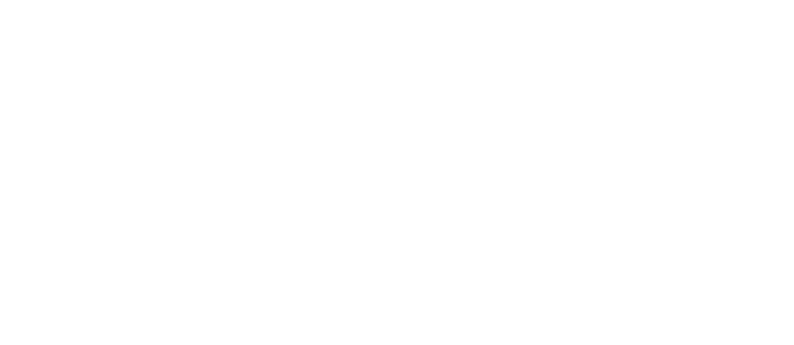 Bold Journey